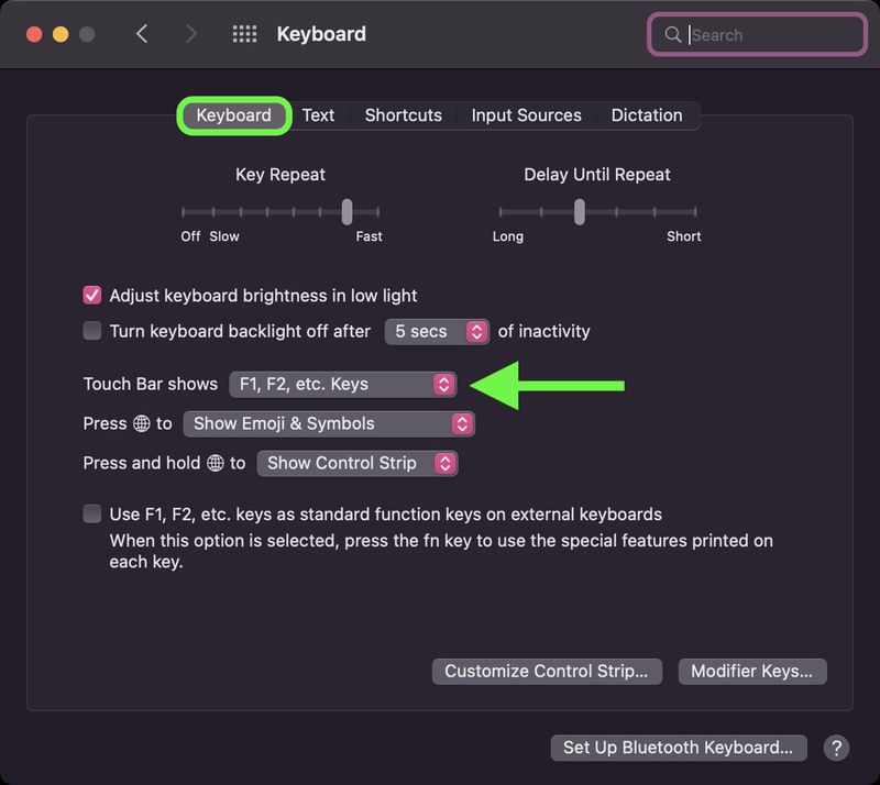 macOS System Preferences Keyboard