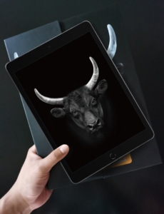 Cường Lực Mipow KingBull Premium HD For iPad Pro 11" / Air 10.9"