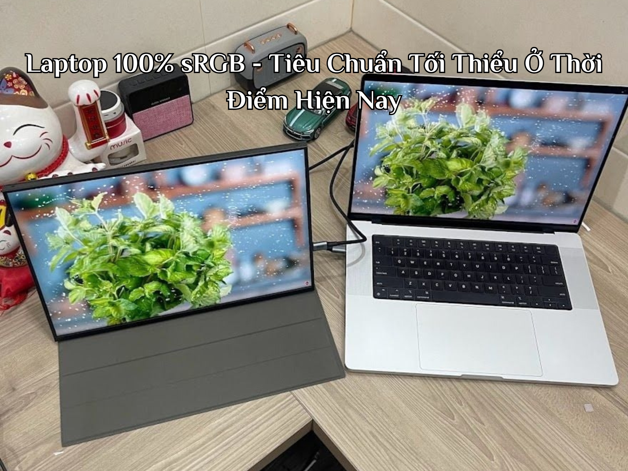 Laptop 100% sRGB - Tiêu Chuẩn Tối Thiểu Ở Thời Điểm Hiện Nay