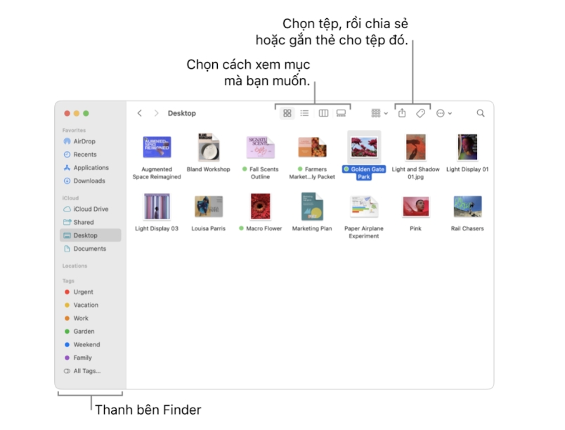 Hướng Dẫn Tuỳ Chỉnh Thư Mục Trên macOS - Từ Cơ Bản Đến Nâng Cao