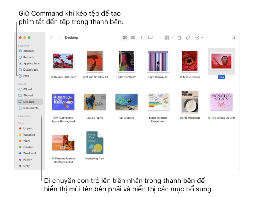 Hướng Dẫn Tuỳ Chỉnh Thư Mục Trên macOS - Từ Cơ Bản Đến Nâng Cao