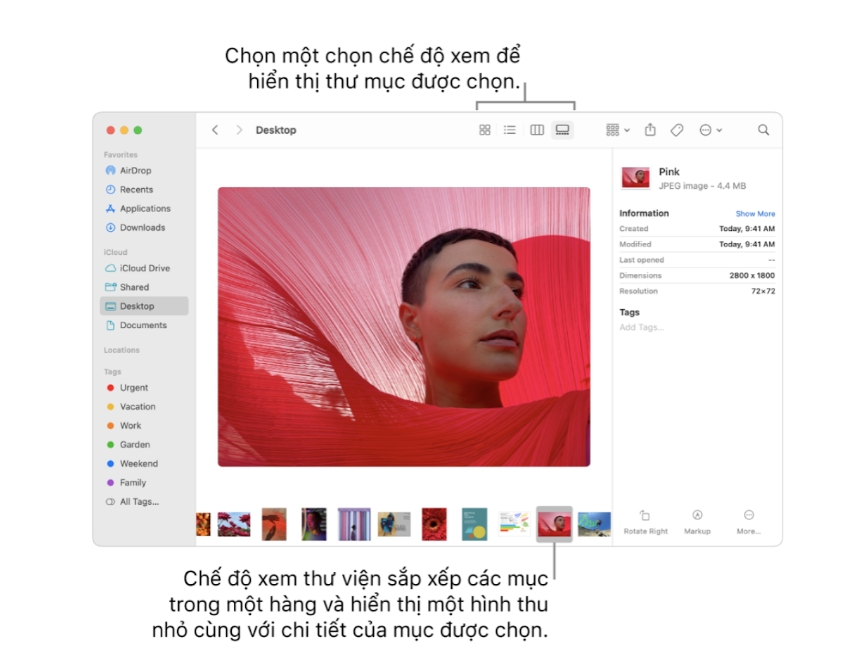 Hướng Dẫn Tuỳ Chỉnh Thư Mục Trên macOS - Từ Cơ Bản Đến Nâng Cao