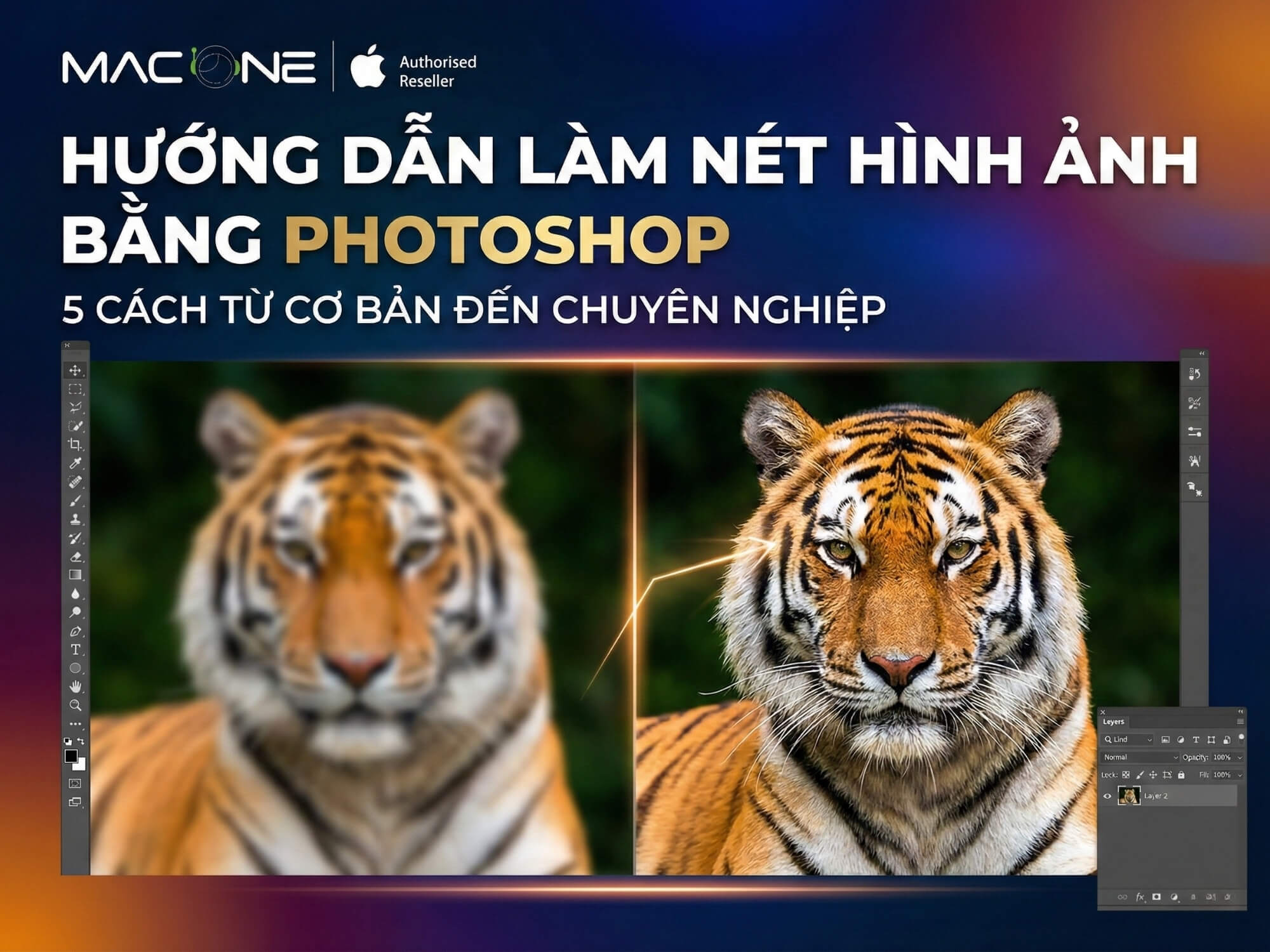 Hướng dẫn làm nét hình ảnh bằng Photoshop: 5 cách từ cơ bản đến chuyên nghiệp