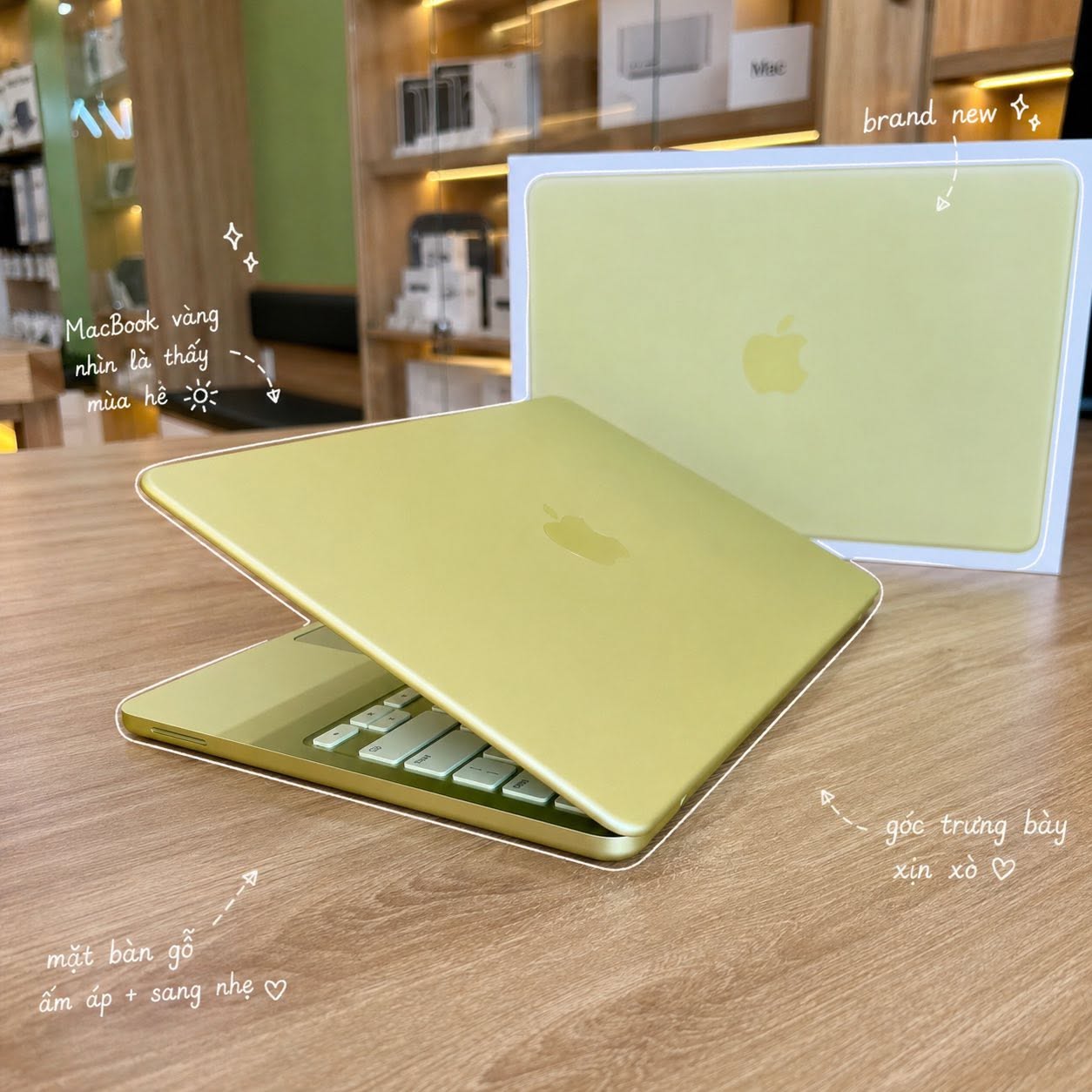 Xu hướng chọn màu MacBook Neo cho sinh viên