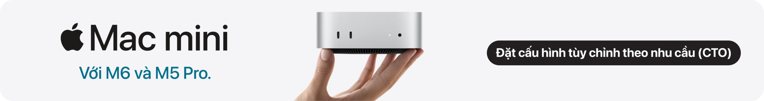 Mac mini M6